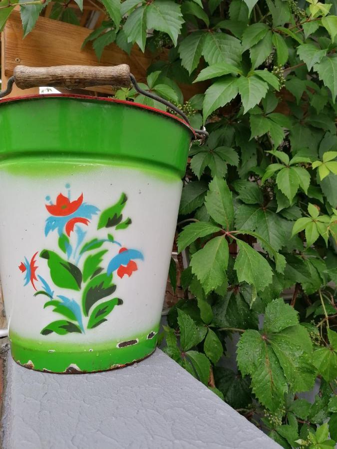 Menta Apartman Mezőkövesd Buitenkant foto