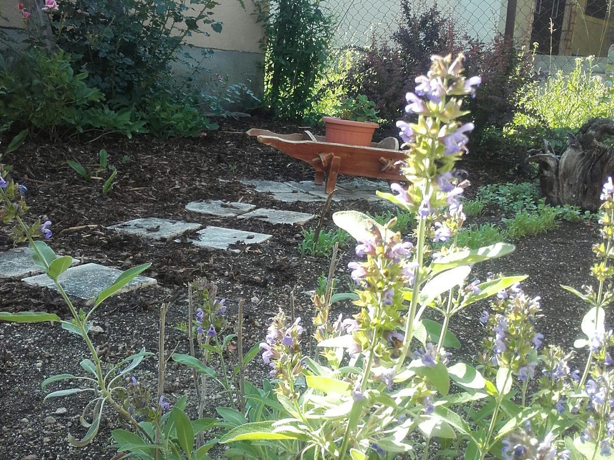 Menta Apartman Mezőkövesd Buitenkant foto